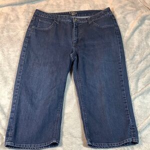 Riders by Lee Capris